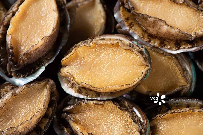新鲜活鲍鱼特写图片素材