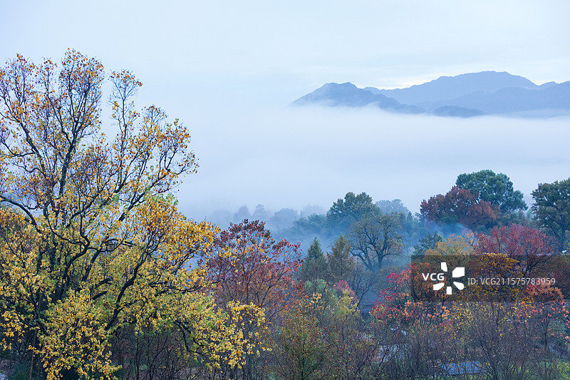 安徽黄山塔川，秋意浓浓，云海翻腾，与古塔相映成趣，展现出大自然鬼斧神工的壮丽景象，令人心旷神怡。图片素材