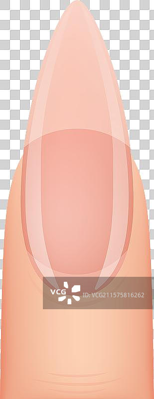 指甲形状美甲类型的指甲延长图片素材