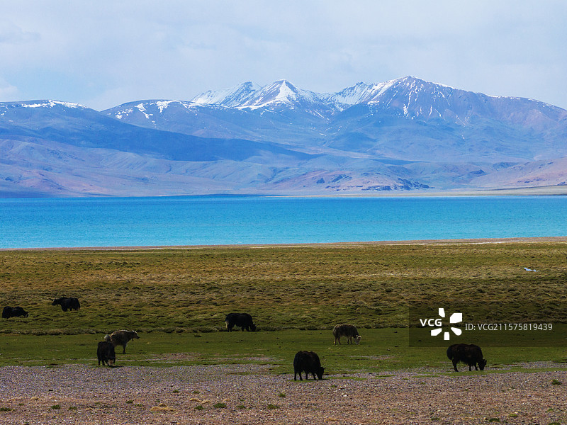 航拍那区安多县草原图片素材