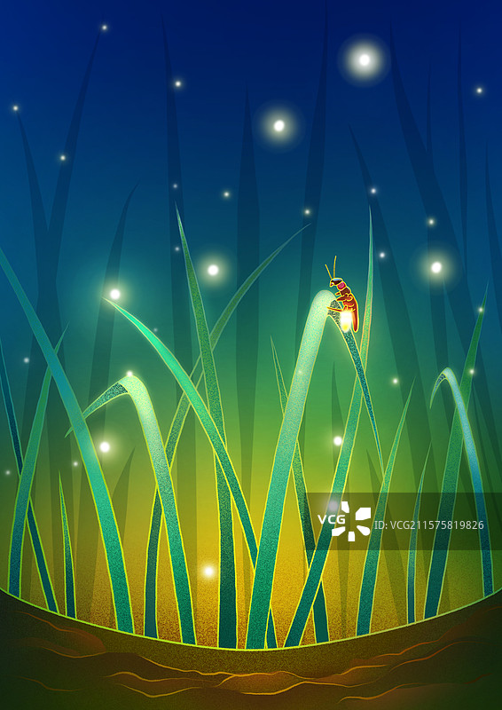 手绘插画-夏日-草丛-萤火虫图片素材