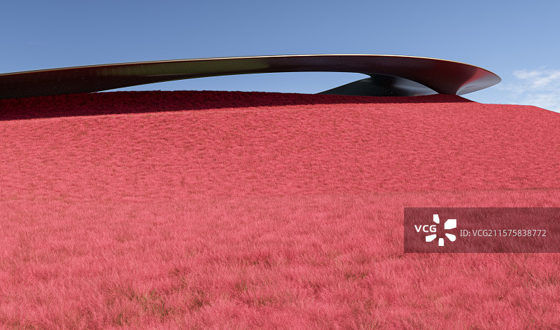 异形曲面_粉黛乱子草_体育馆图片素材