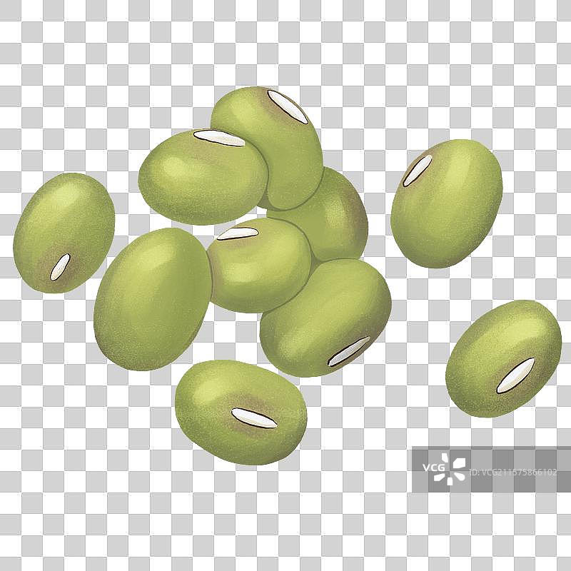 绿豆图片素材