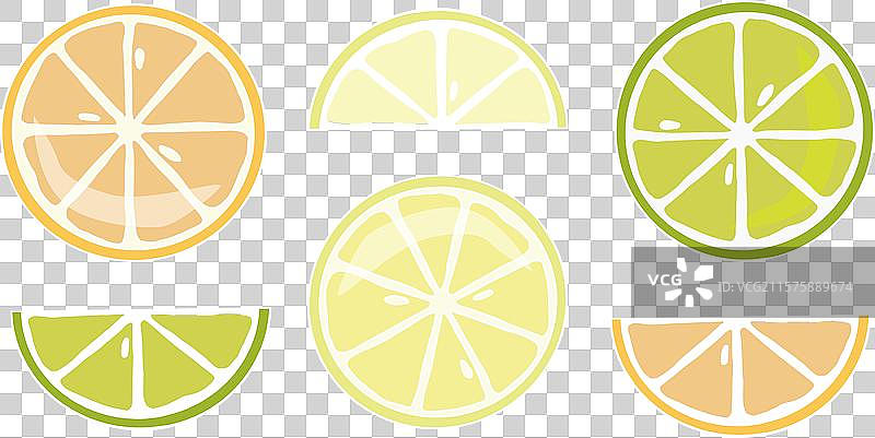 一块鲜亮多汁的橙子和一片柑橘橙图片素材