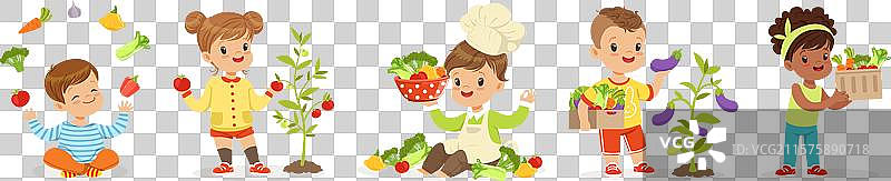 快乐的孩子角色在收获成熟的蔬菜图片素材
