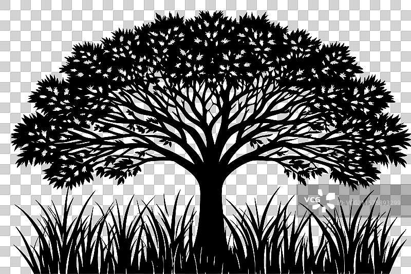 一片有显著树木的草地图片素材