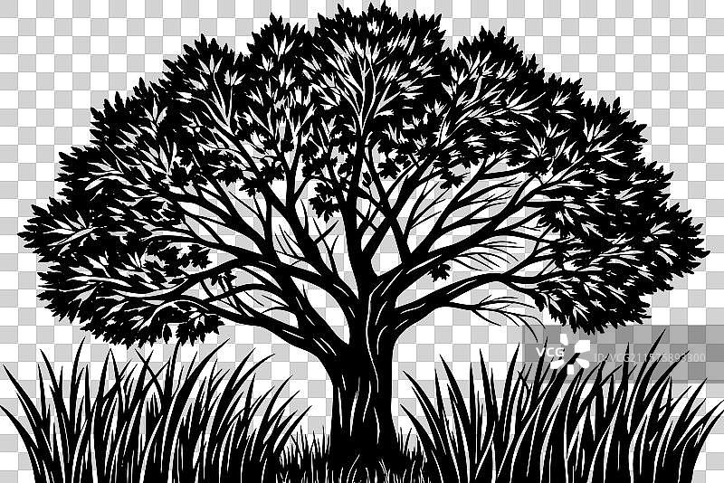 一片有显著树木的草地图片素材