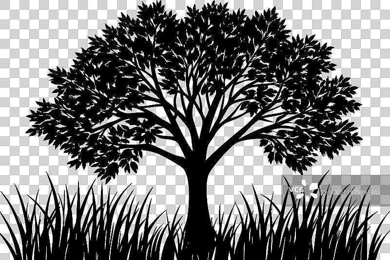 一片有显著树木的草地图片素材