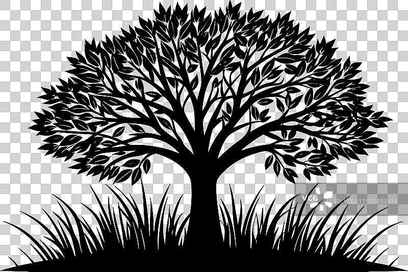 一片有显著树木的草地图片素材