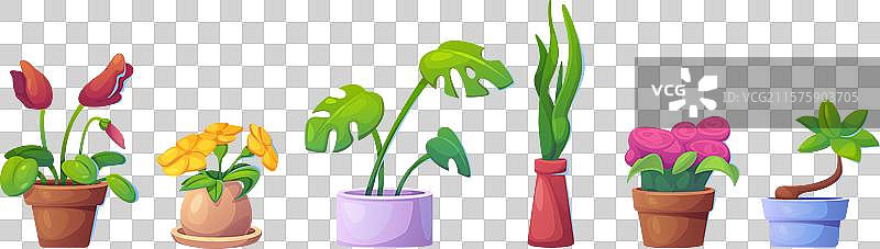 一组孤立在白色背景上的花盆图片素材