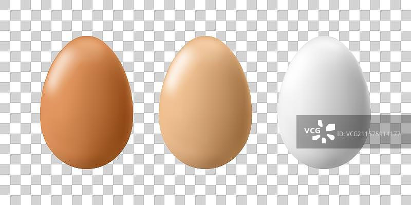 不同颜色的整颗鸡蛋（带壳）图片素材