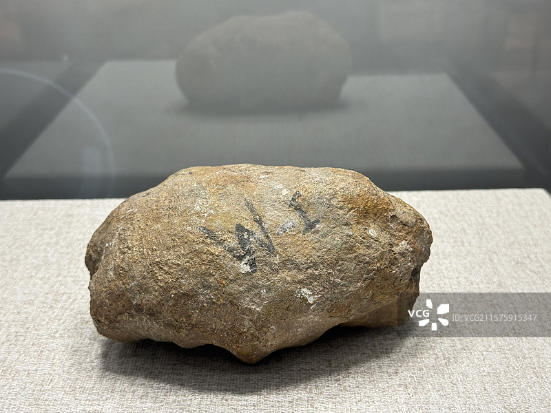 上海自然博物馆--中国恐龙大展--蜀龙尾锤（中侏罗世）图片素材