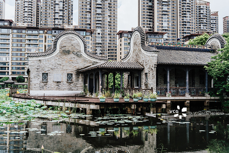 佛山三水荷花世界图片素材