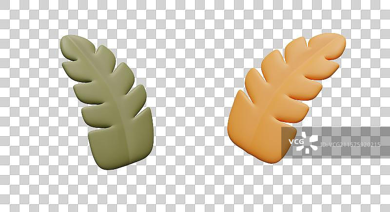 不同颜色的3D植物叶子组合图片素材