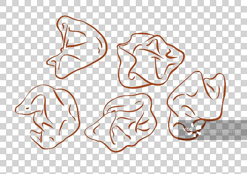 龙抄手馄炖云吞美食手绘风格插画元素图片素材