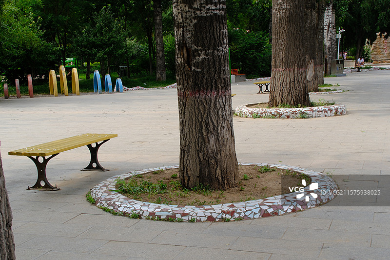 公园有设计感的树坑。城市风光。城市绿化图片素材