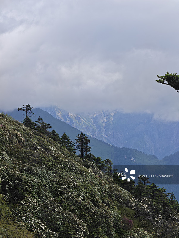 二郎山景区图片素材