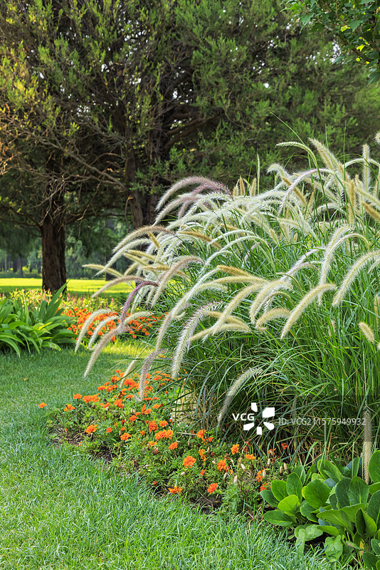 六月夏至时节北京天坛公园特设小而美“莫奈花园”图片素材