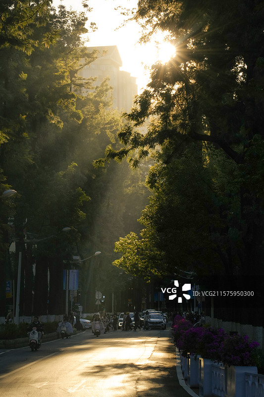 翠湖边日出街道景象、丁达尔光图片素材