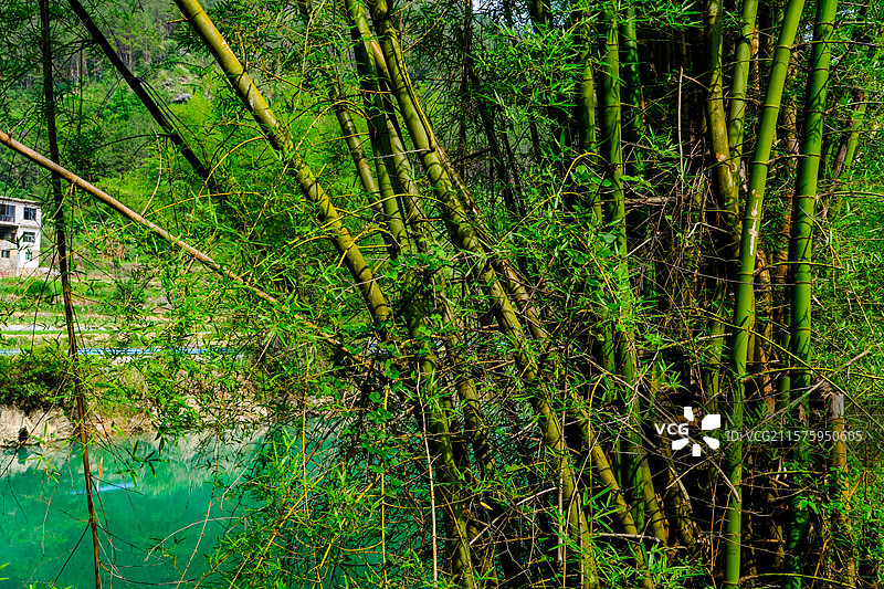 中国贵州黔南州罗甸大小井景区风光图片素材