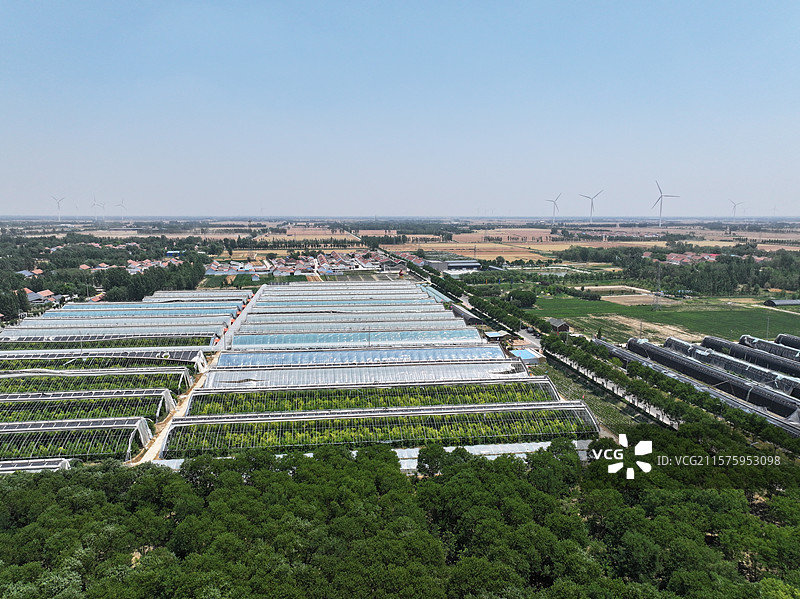 航拍夏季乡村蔬菜大棚自然风光图片素材