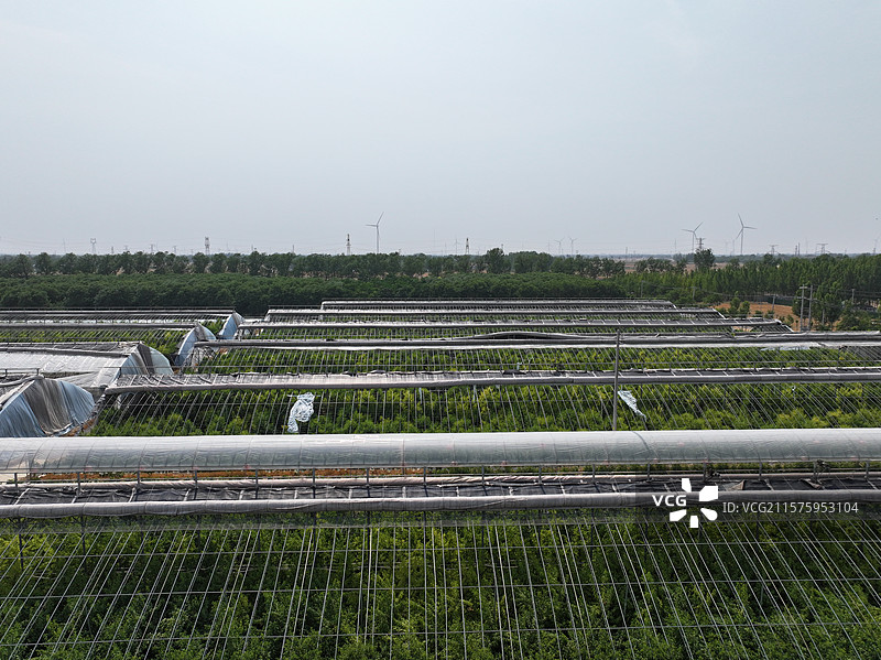 航拍夏季乡村蔬菜大棚自然风光图片素材