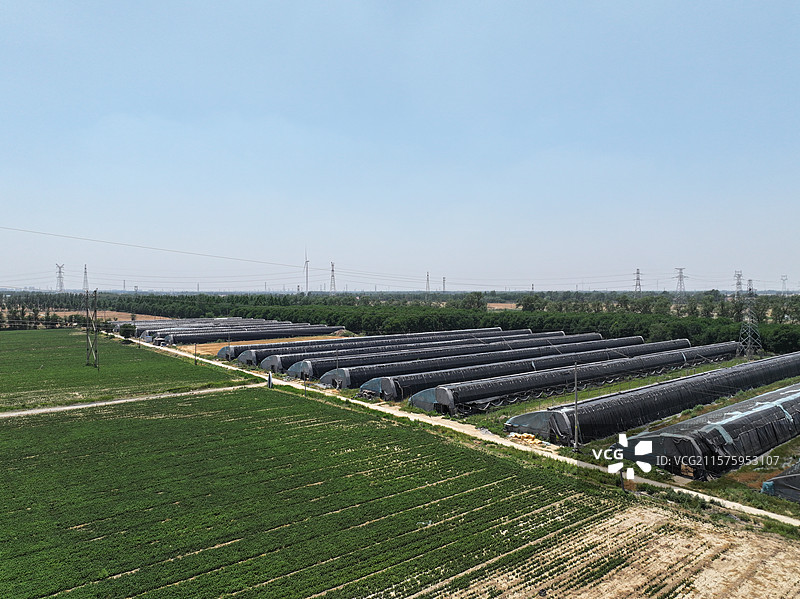 航拍夏季乡村蔬菜大棚自然风光图片素材