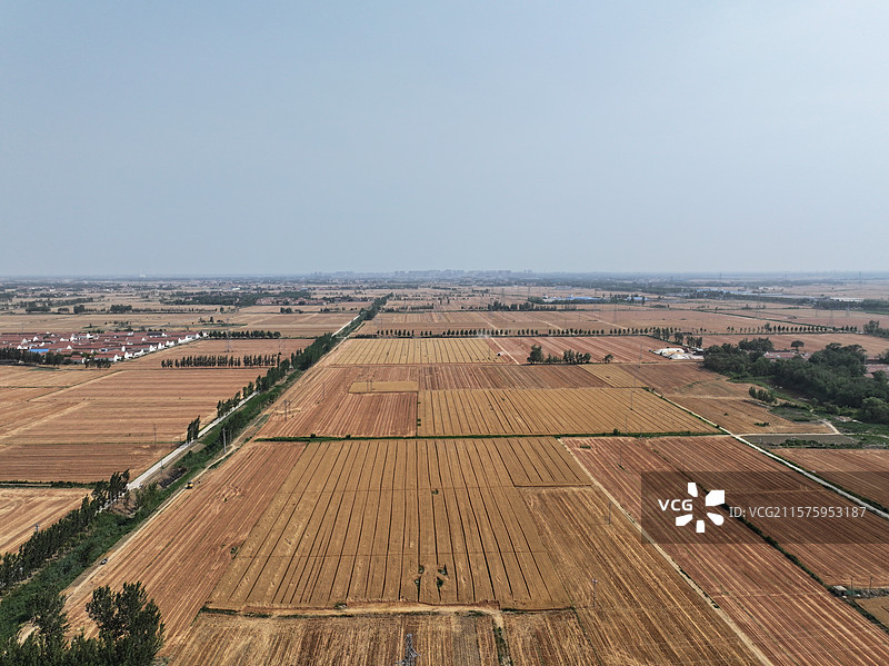 航拍夏季乡村蔬菜大棚自然风光图片素材