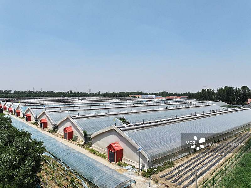 航拍夏季乡村蔬菜大棚自然风光图片素材