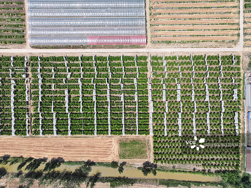 航拍夏季乡村蔬菜大棚自然风光图片素材