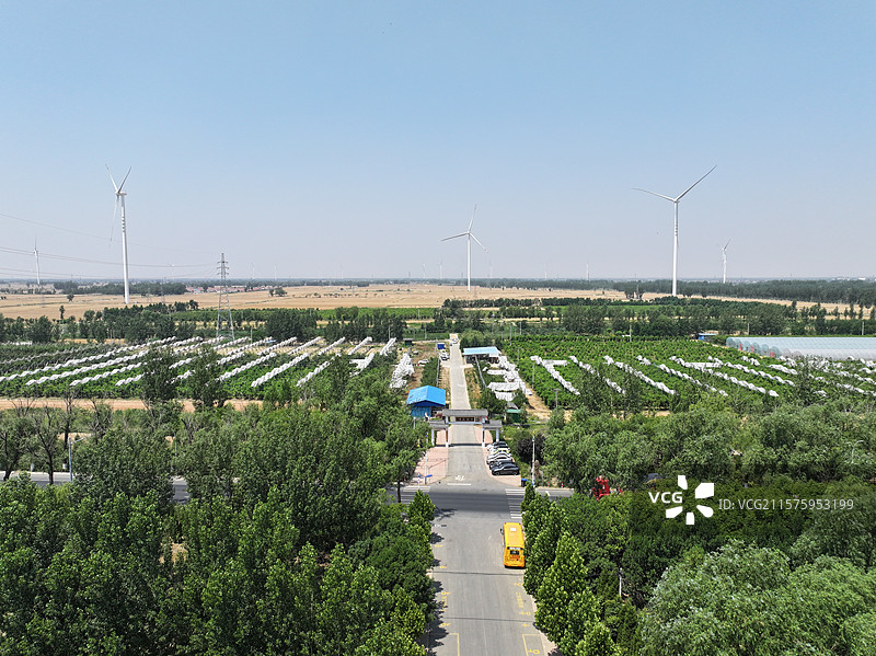 航拍夏季乡村蔬菜大棚自然风光图片素材