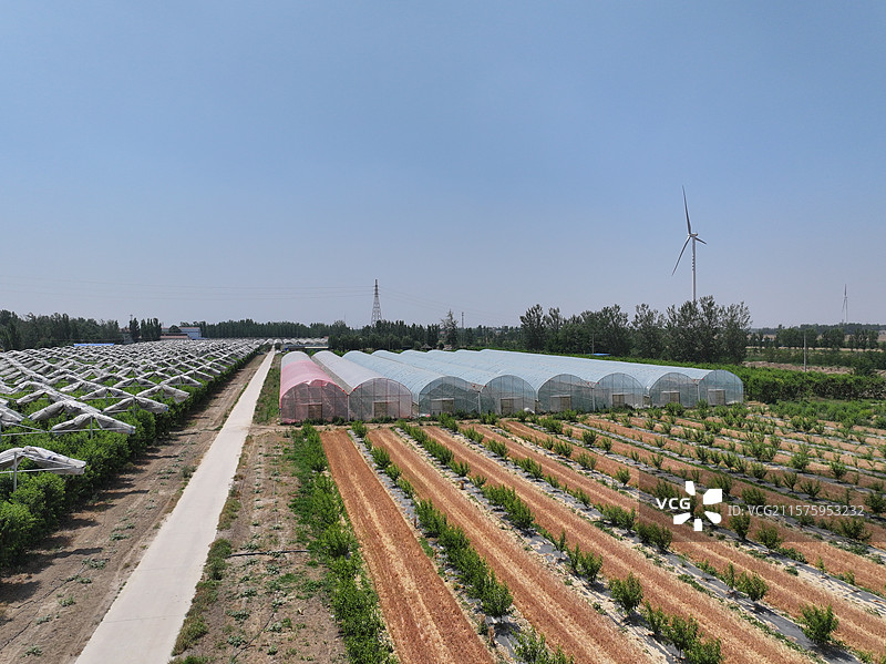 航拍夏季乡村蔬菜大棚自然风光图片素材
