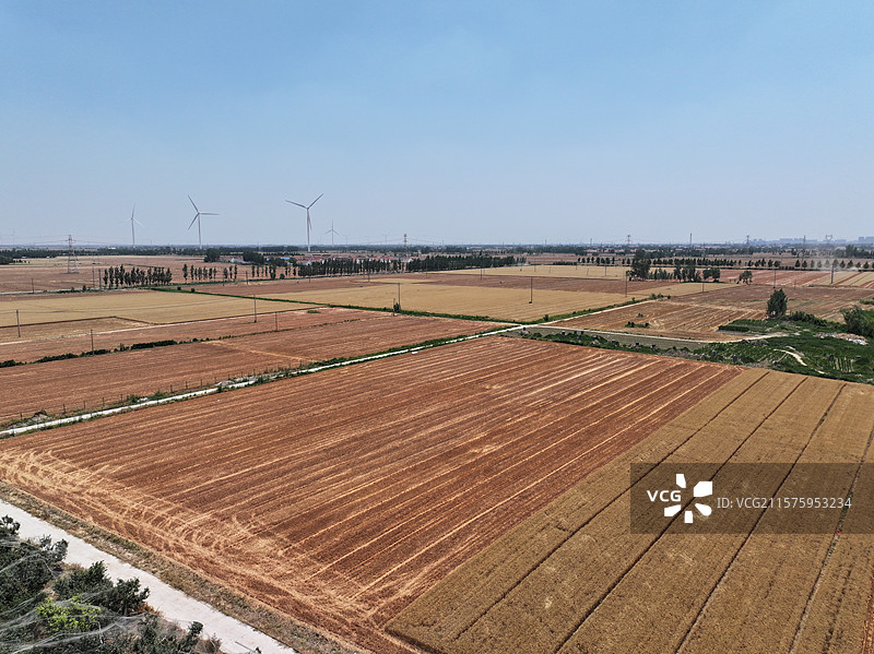 航拍夏季乡村蔬菜大棚自然风光图片素材