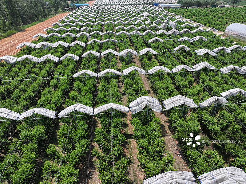 航拍夏季乡村蔬菜大棚自然风光图片素材