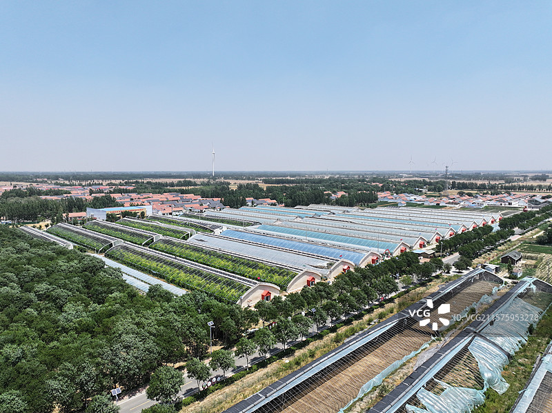 航拍夏季乡村蔬菜大棚自然风光图片素材