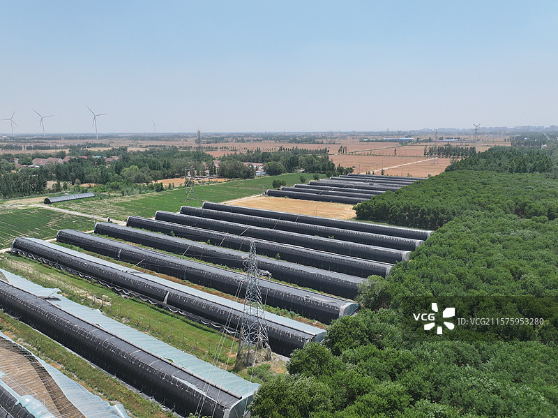 航拍夏季乡村蔬菜大棚自然风光图片素材