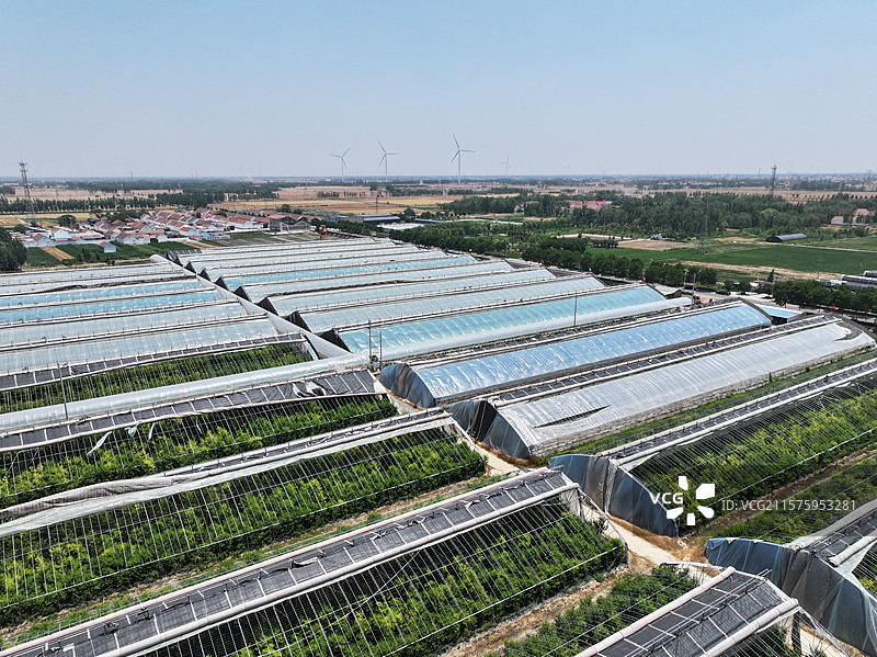 航拍夏季乡村蔬菜大棚自然风光图片素材