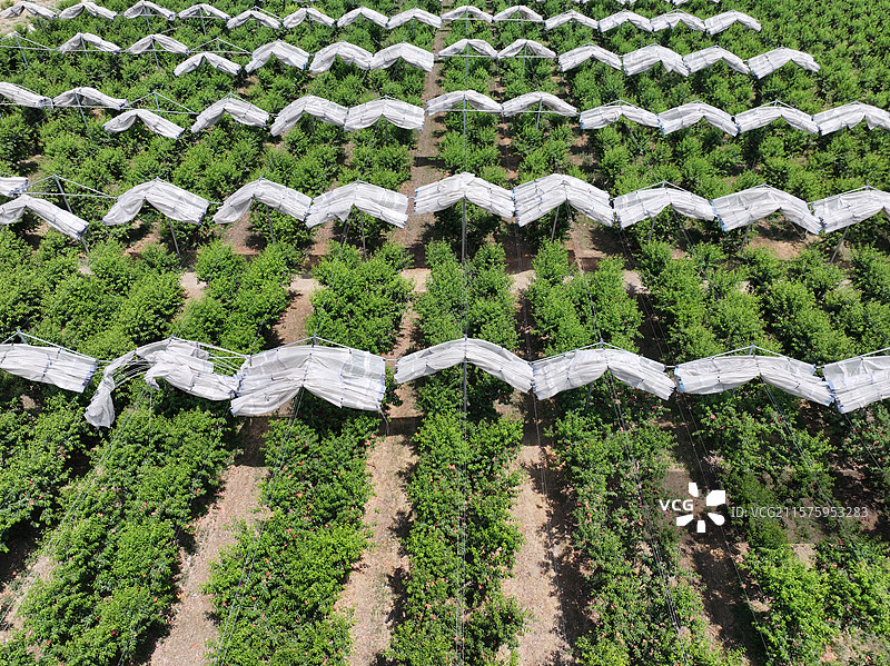 航拍夏季乡村蔬菜大棚自然风光图片素材