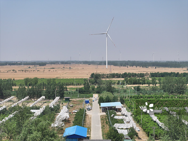 航拍夏季乡村蔬菜大棚自然风光图片素材