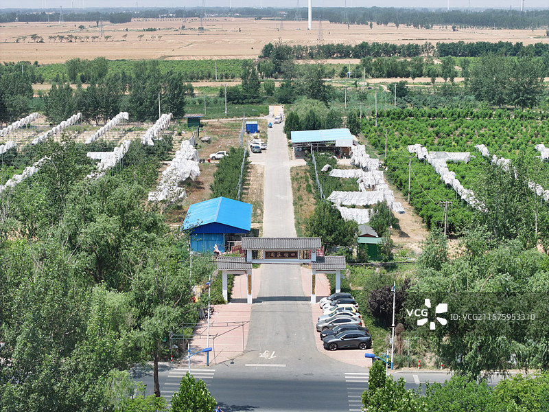 航拍夏季乡村蔬菜大棚自然风光图片素材