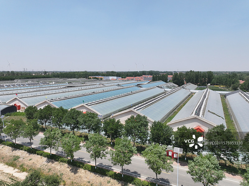 航拍夏季乡村蔬菜大棚自然风光图片素材