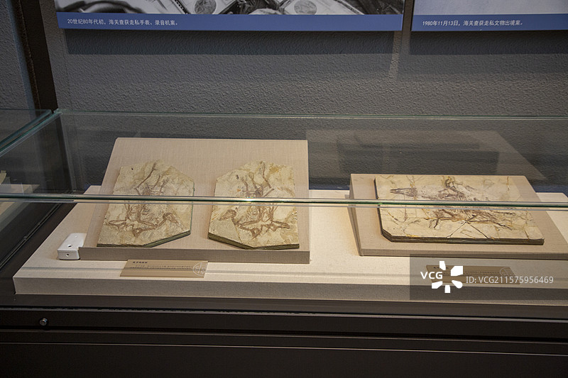 中国海关博物馆图片素材