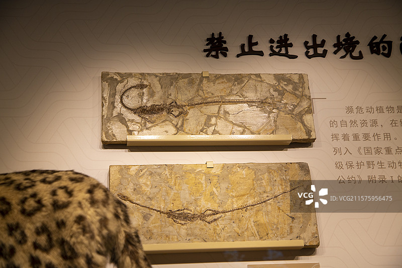 中国海关博物馆图片素材