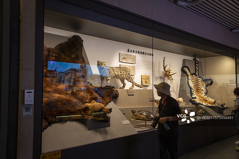 中国海关博物馆图片素材