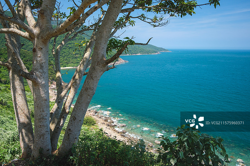 越南岘港山茶半岛海滨自然风光图片素材