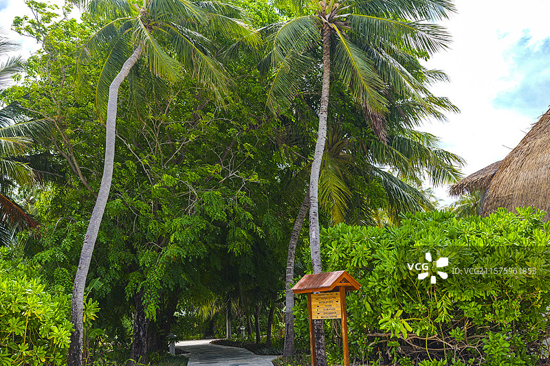 马尔代夫班度士岛酒店建筑海滩图片素材