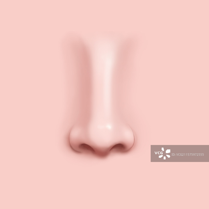 鼻子鼻部五官整形医美手绘插画图片素材