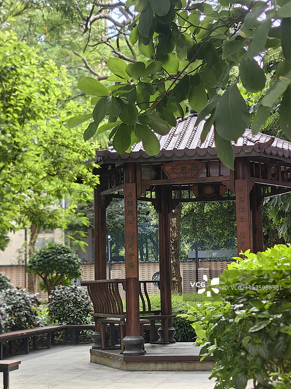 校园一角图片素材