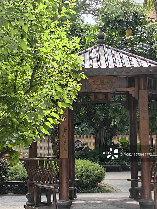 校园一角图片素材