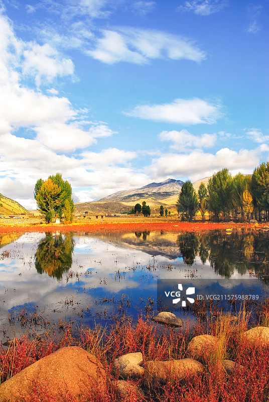 中国四川省稻城红草地秋天风景图片素材